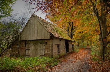 oude vervallen houten schuur met een pannendak  langs een pad in het bos met prachtige herfstkleuren