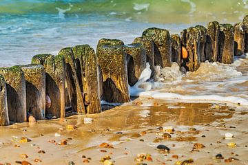 Groynes at the beach of the Baltic Sea