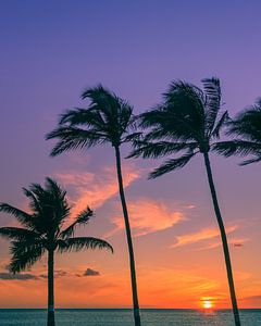 Zonsondergang op Maui van Henk Meijer Photography