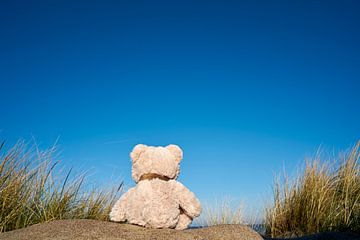 verdrietige teddybeer met reislust op het strand van Warnemünde