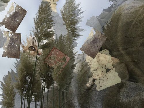 catlove von Ineke Vroling