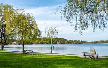 Landschap van het Nationaal Park Müritz in het Mecklenburgse merengebied in Duitsland van Animaflora PicsStock