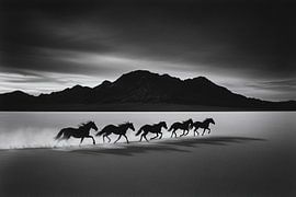 Pferde im Spiel von Licht und Schatten