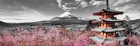 Idyllisch panoramisch uitzicht op de berg Fuji met pagode en kersenbomen | colorkey