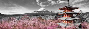 Vue panoramique idyllique sur le mont Fuji avec pagode et cerisiers | colorkey