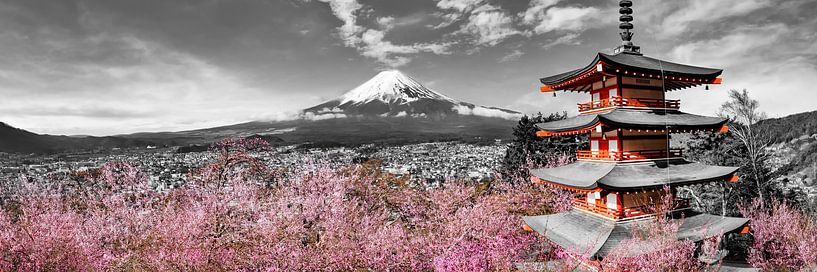Idyllisch panoramisch uitzicht op de berg Fuji met pagode en kersenbomen | colorkey van Melanie Viola