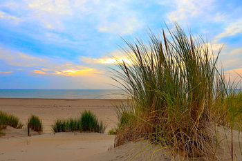 sand dunes with the sea