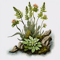 Botanical charm