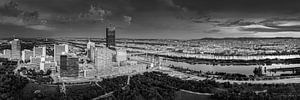 Skyline von der Stadt Wien in schwarzweiss.