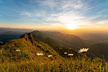 Bloemrijke zonsondergang op de Hochgrat met uitzicht op Oberstaufen van Leo Schindzielorz