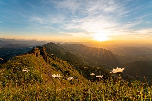 Bloemrijke zonsondergang op de Hochgrat met uitzicht op Oberstaufen