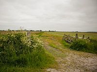 Fence by meadow - National Park the Alde Feanen, Friesland