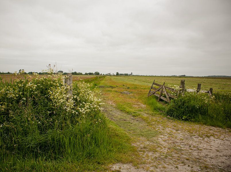 Fence by meadow - National Park the Alde Feanen, Friesland by Marije Mulder