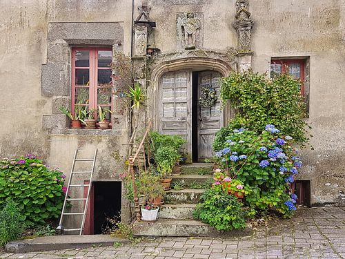 Het Franse leven