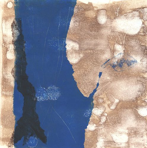 tree trunk in the river