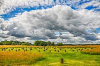 Woodhenge Engeland