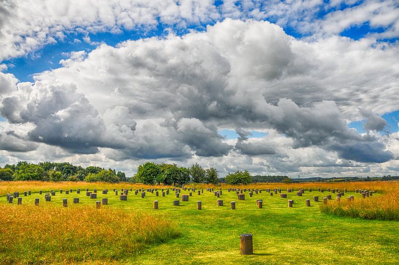 Woodhenge Engeland by Marc van Gessel