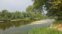 RIVER IN FRANCE SUMMER