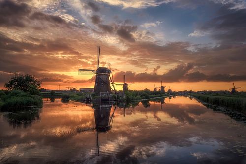 Kinderdijk