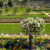 Im Klostergarten von Thomas Riess