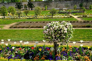 In de kloostertuin van Thomas Riess