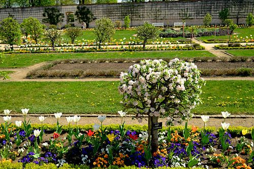 Im Klostergarten von Thomas Riess