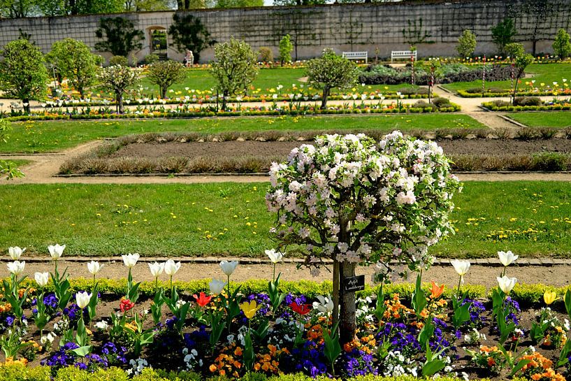 Im Klostergarten von Thomas Riess
