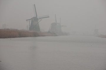 Kinderdijk molens in de mist
