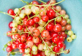 Red and Green Currents in Blue Bowl by Iris Holzer Richardson