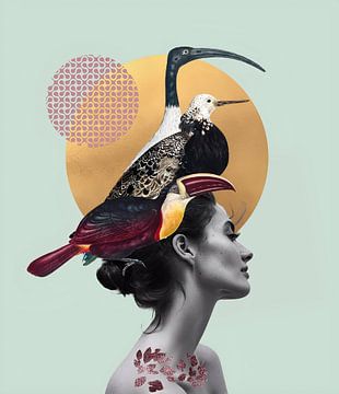 Trois oiseaux observent sur collagesdemarie