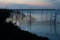 Wad netten