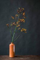 Orange flower in vase