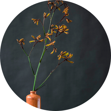 Foto print van oranje bloem in vaas tegen donkere achtergrond van Jenneke Boeijink