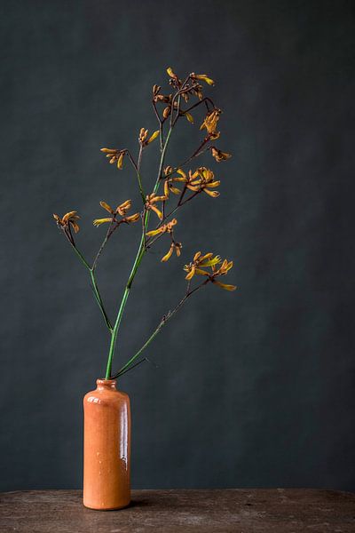 Foto print van oranje bloem in vaas tegen donkere achtergrond van Jenneke Boeijink