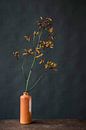 Foto print van oranje bloem in vaas tegen donkere achtergrond van Jenneke Boeijink thumbnail