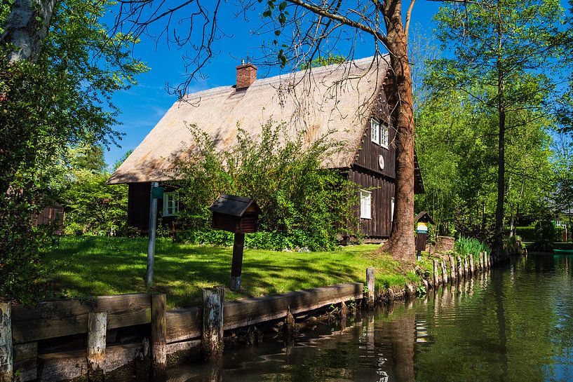 Building and water in the Spreewald area, Germany van Rico Ködder