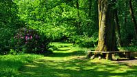 Idyllic Green in Breidings's Garden by Gisela Scheffbuch thumbnail