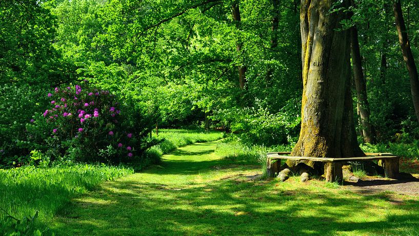 Idyllic Green in Breidings's Garden by Gisela Scheffbuch