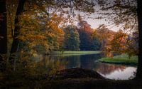 Het geweldige uitzicht in een prachtig herfstbos van Mart Houtman thumbnail