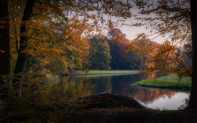 Het geweldige uitzicht in een prachtig herfstbos van Mart Houtman