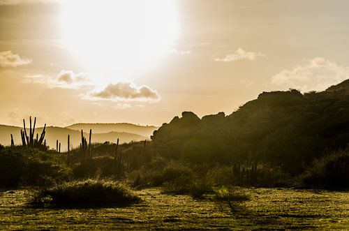 Een gouden zonsondergang in Curacao