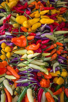 Spanish peppers by Mark Veldman