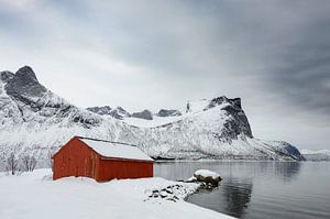 Red shed on the island Senja island in Northern Norway during a cold winter day