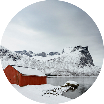 Panoramisch uitzicht op het eiland Senja in Noord-Noorwegen tijdens een koude winterdag. van Sjoerd van der Wal Fotografie