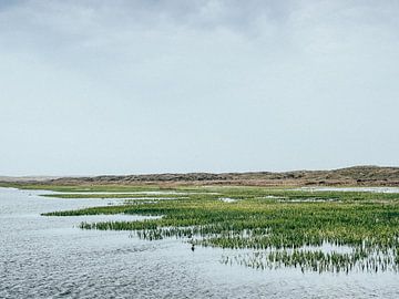 Water en land van Steven Goovaerts