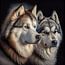 Husky