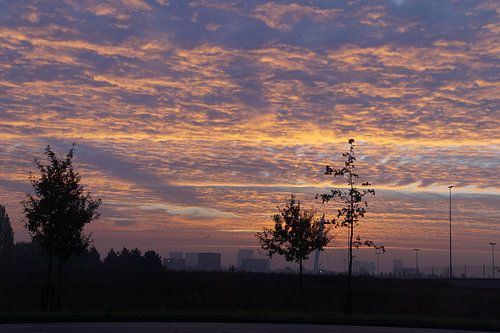 luchten in de ochtend