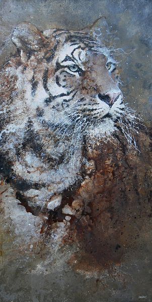 Tigre par Peter van Loenhout