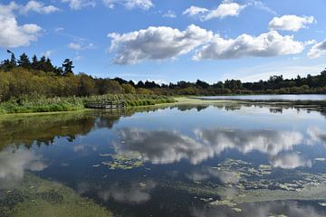 Reflection on the park's pond by Claude Laprise