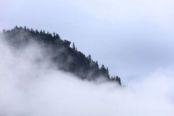 Morgenstimmung Voralpen von Thomas Jäger